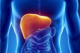 Bastyń amandyǵy –  baýyrdyń bútindiginde