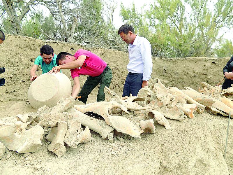Syr óńirindegi Sortóbe bekinisinen qobyz pishindes tas tabyldy