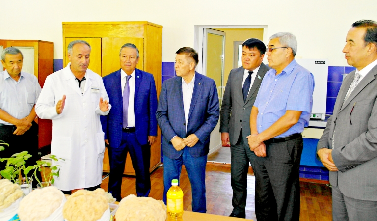 Parlament depýtaty Maqtaral ǵalymdarynyń jumysyn joǵary baǵalady