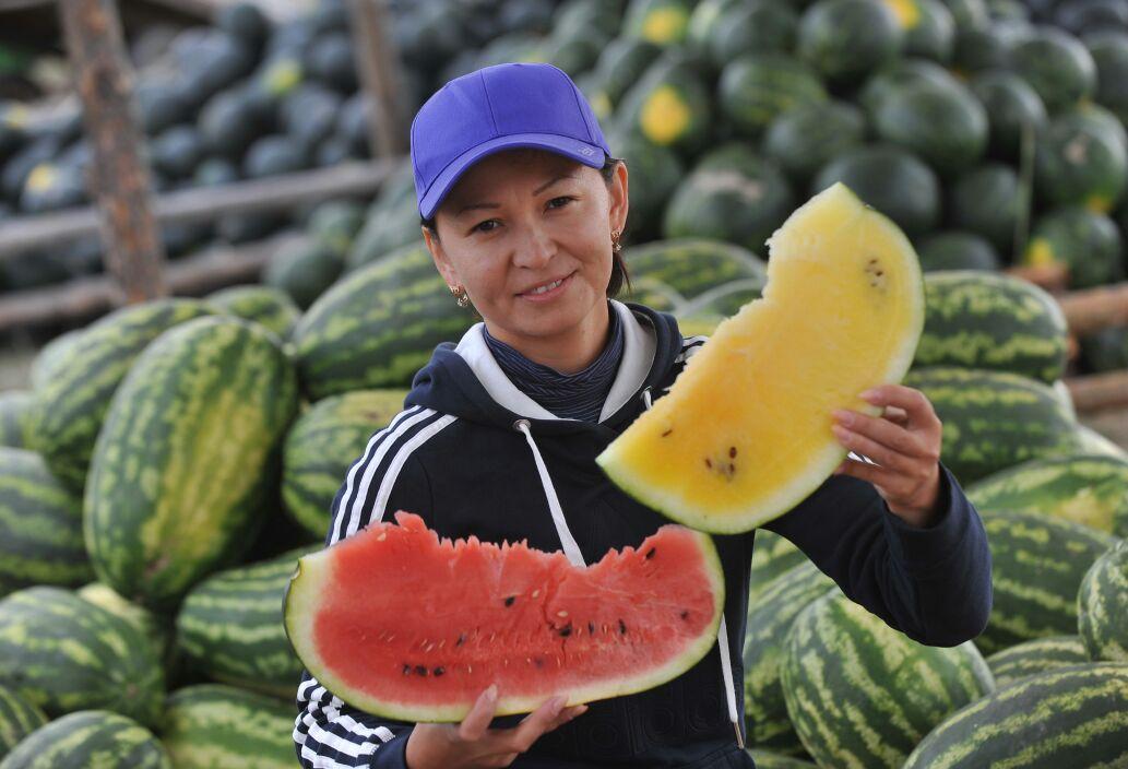 Pavlodardan Astanaǵa 10 tonna qarbyz jetkiziledi