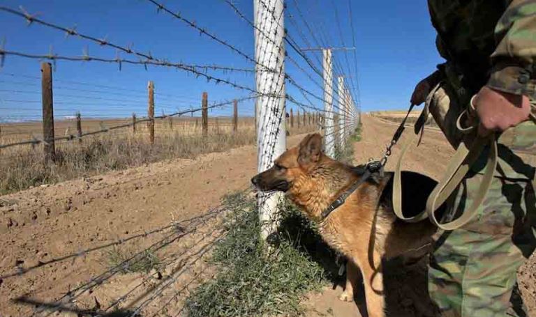 Jambyl oblysynda shekaradan zańsyz ótpek bolǵandar ustaldy 