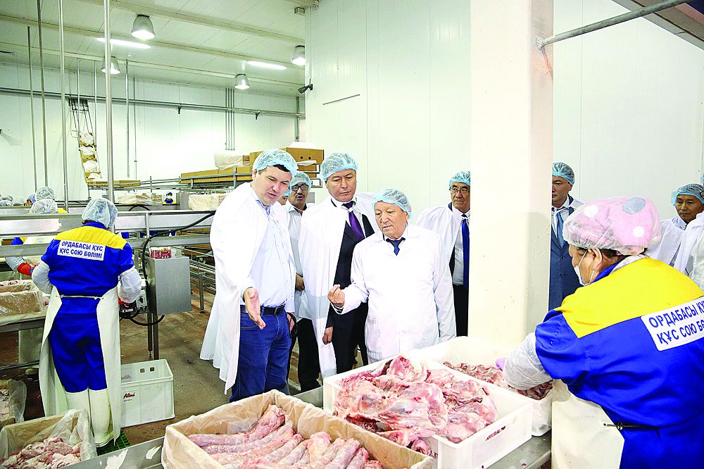 Jaıyq pen Arys arasy jaqyndaı tústi