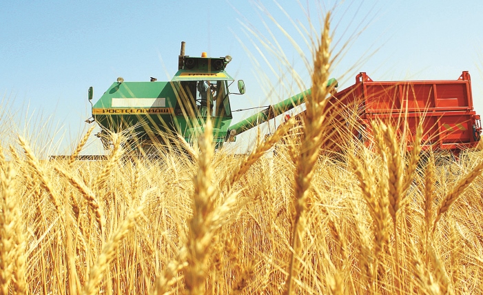 Arpa, bıdaı as eken...