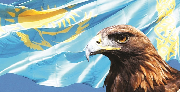 Qaýipsizdik qadamdary