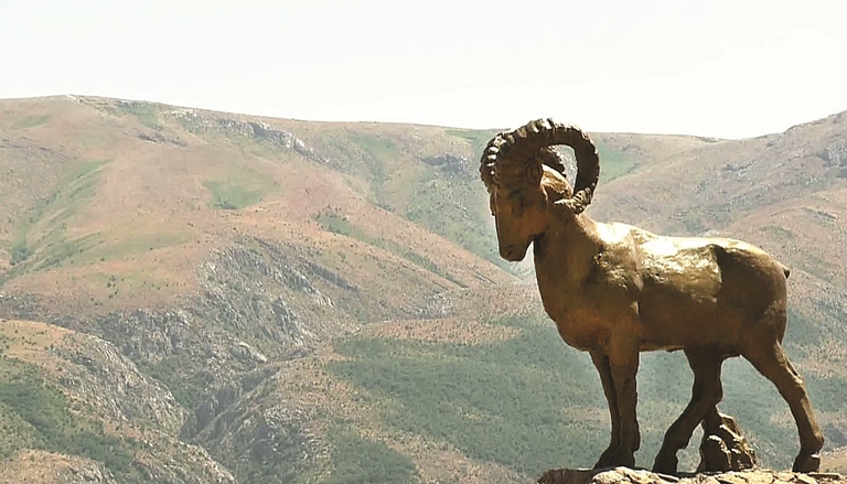 Taý basyndaǵy qońyr qulja