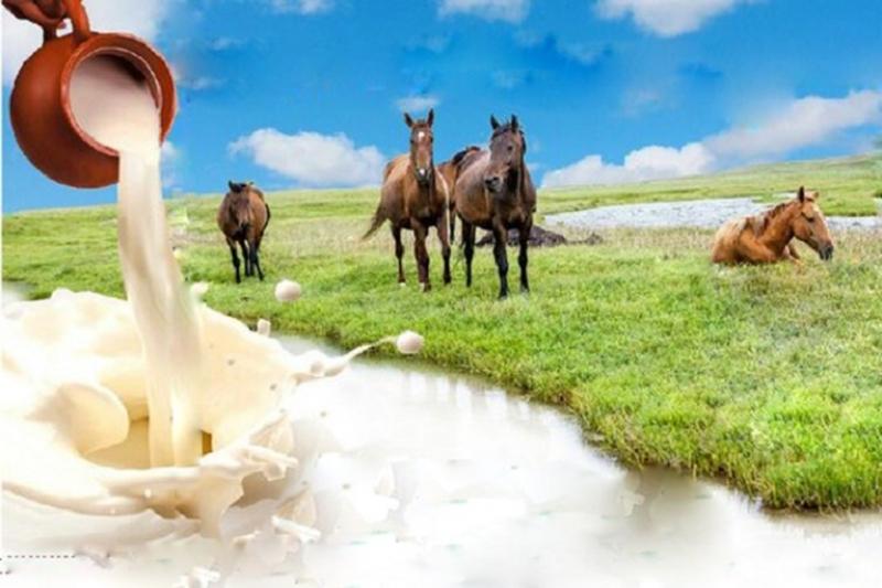 Qazaqstannan Japonııa men Ońtústik Koreıaǵa bıe súti eksporttalady