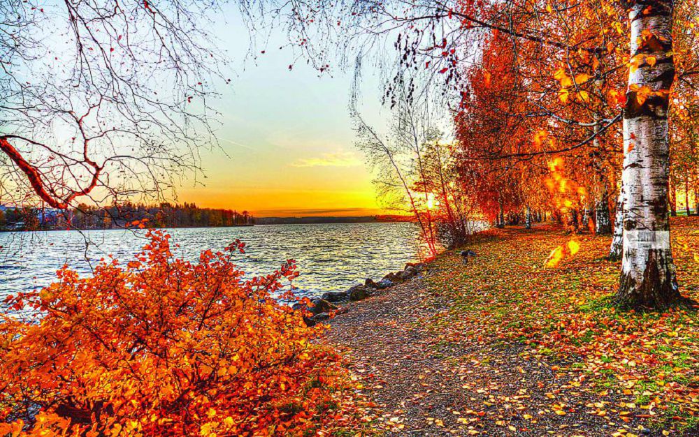 Qar jaýsa da sóner me?