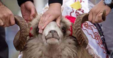 Astanada qurbandyq shalýǵa arnalǵan oryndar anyqtaldy   