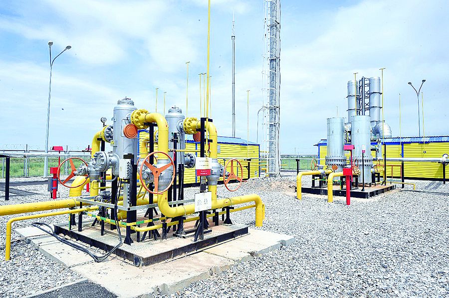 Kentaýǵa kógildir otyn beriledi