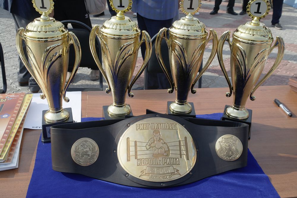 Petropavlda bokstan «Rıng koroli» halyqaralyq týrnıri ótti