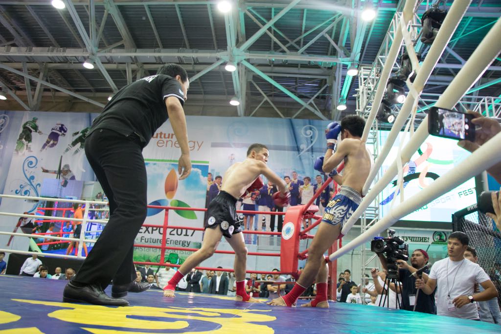 Atyraýda taı boksynan kəsipqoı jarys ótedi