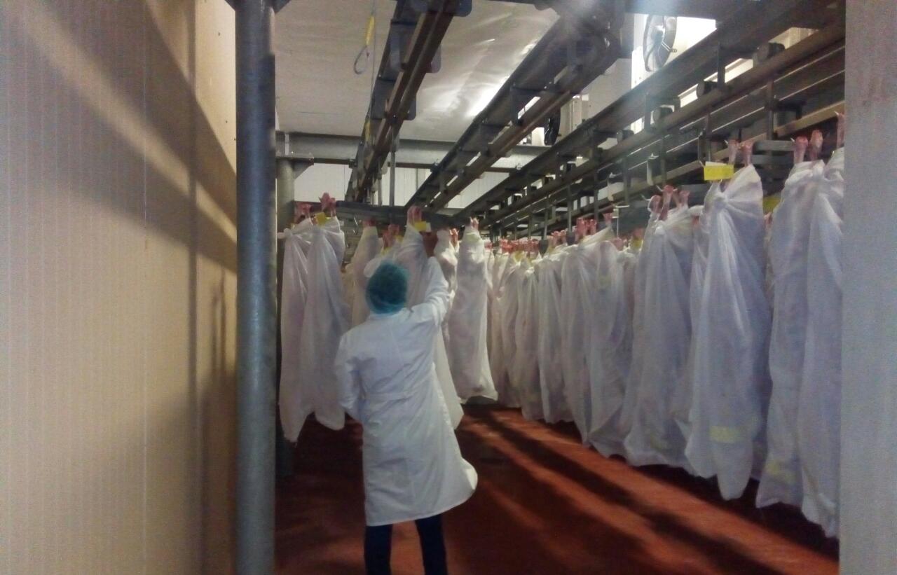 Iran memleketine 18 tonna qoı eti jiberildi