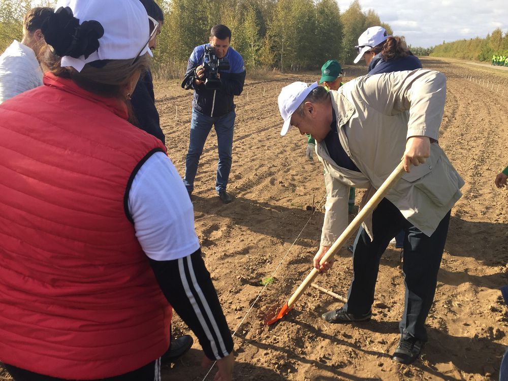 Depýtattar aǵash otyrǵyzdy