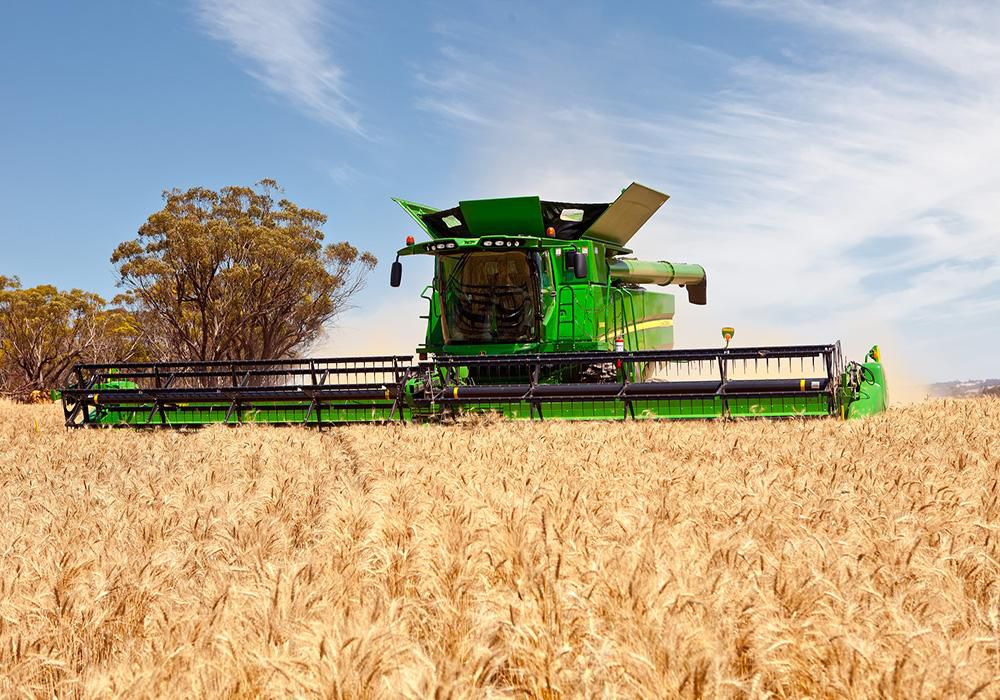 Qambadaǵy túıir dán – el yrysy buıyrǵan