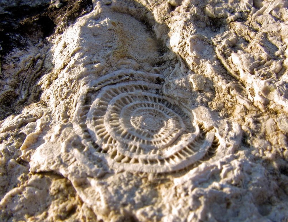 Altaı teńizi týraly bilesiz be?