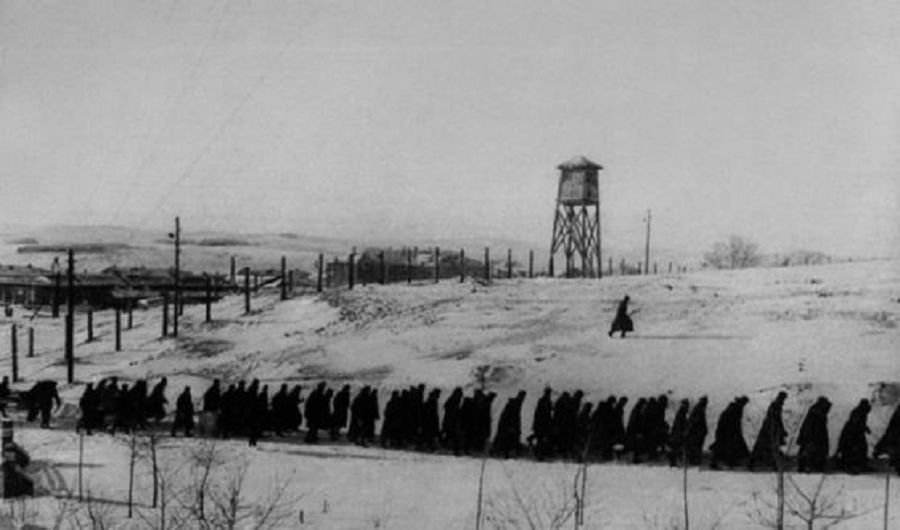 «StepLag». 1954 jyl. Bas kóterý