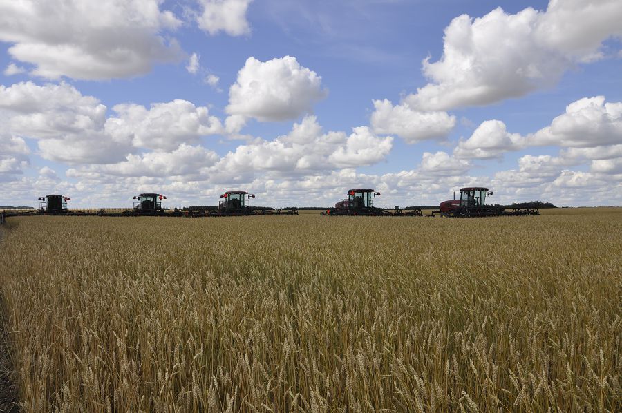 Mańdaı terdiń óteýi