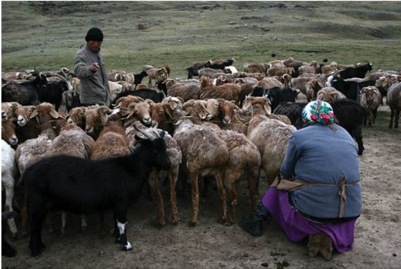 Qazaq – qashanda qazaq!