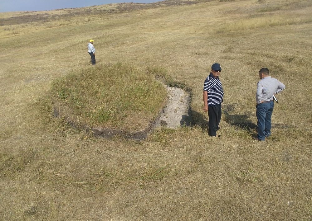 Bozaıǵa kelgen bógdeǵalamsharlyqtar ma?