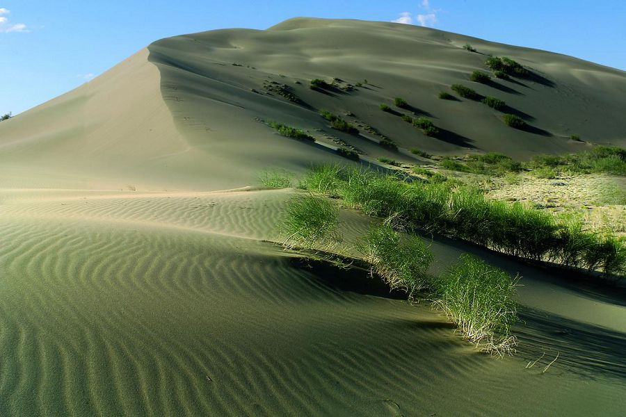 Qyrynda qulan jaılaǵan...