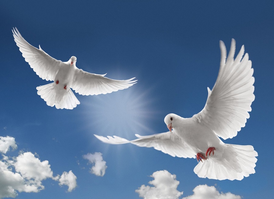 Keler jyly mektep baǵdarlamasyna qoǵam jáne dintaný sabaǵy engizilýi múmkin