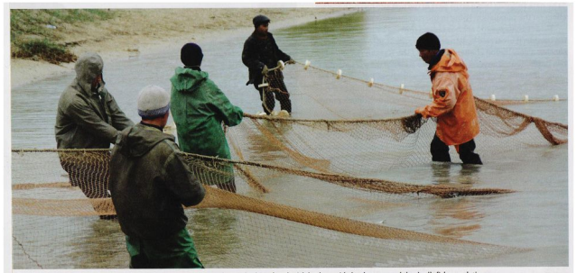 Qazaq – qashanda qazaq!