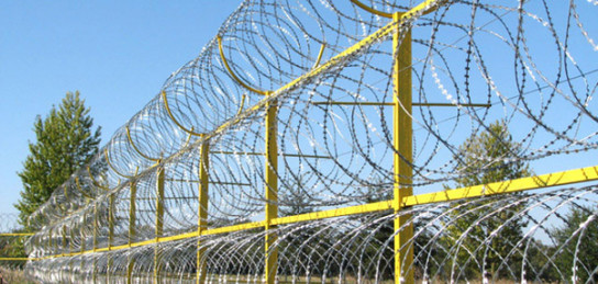 Shekara kúzetshilerine shabýyldaǵan Janbaı aýylynyń turǵyny qamaldy