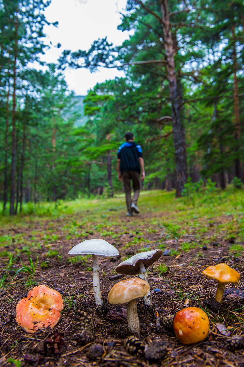 El ardaǵyna eki án arnady