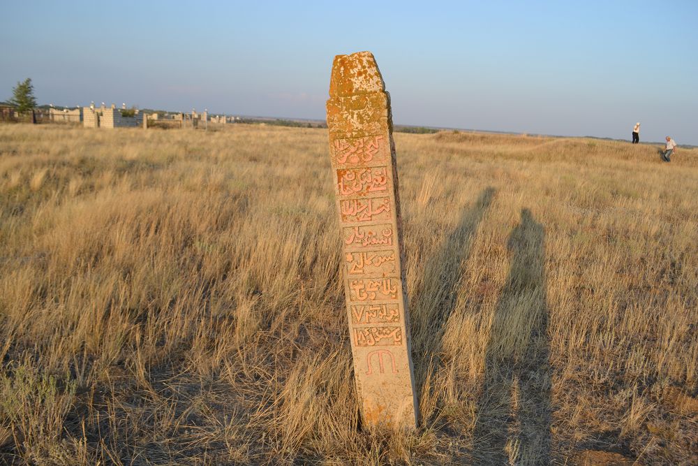 Asfendıar sultannyń zıraty qorshaldy