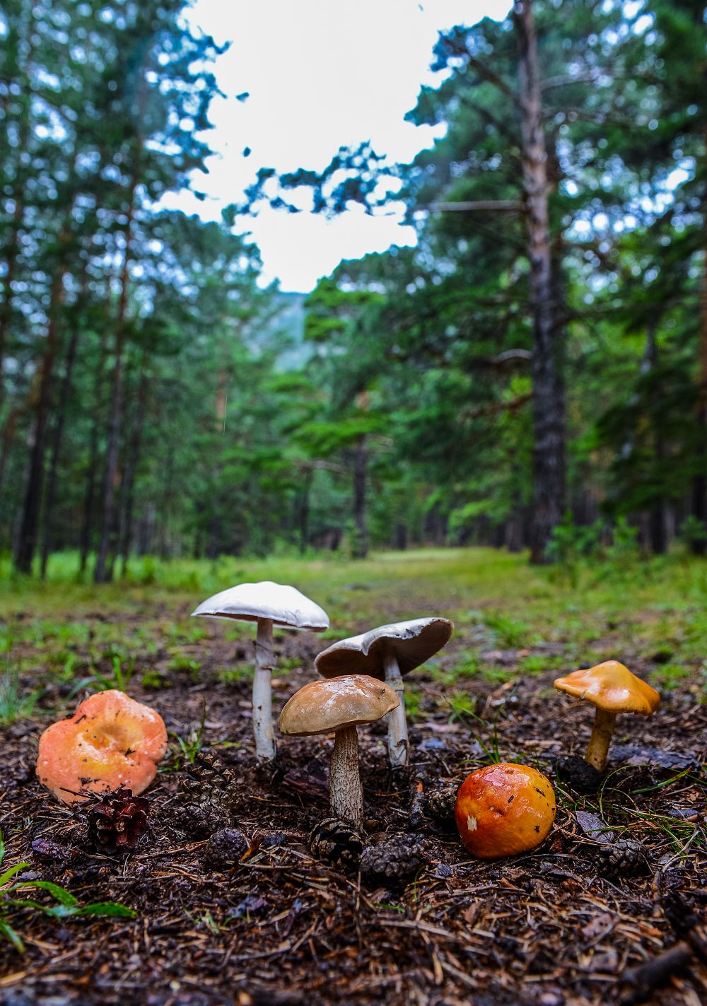 Jer qorlaryn utymdy paıdalaný mańyzdy
