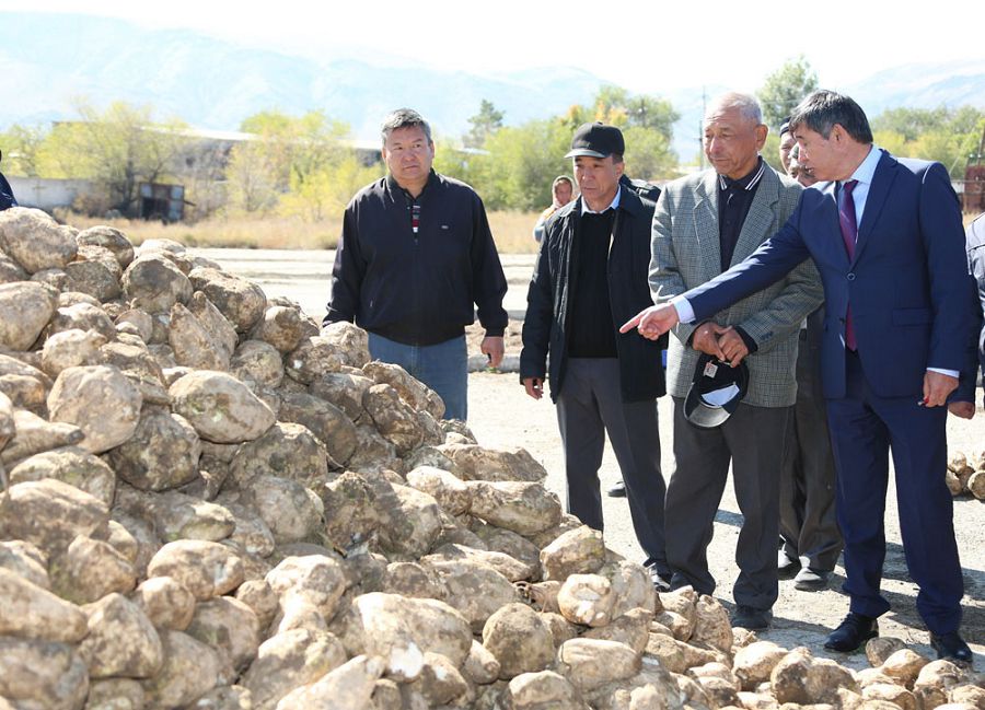 «Aqsýǵa» qyzylsha keldi