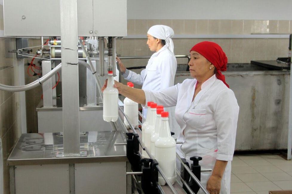 Arystaǵy aýyl kooperatıvke birigip shubat ónimin ulǵaıtty