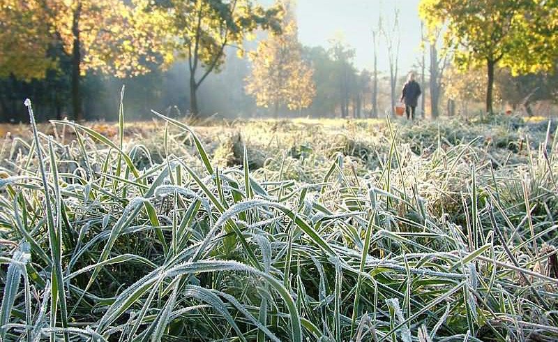 Demalys kúnderi elimizdiń basym bóliginde aýa raıy jaýyn-shashynsyz bolady