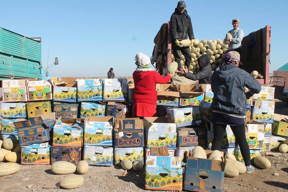 Arystyq sharýalar 56 myń tonna ónimdi Eýropaǵa eksporttady