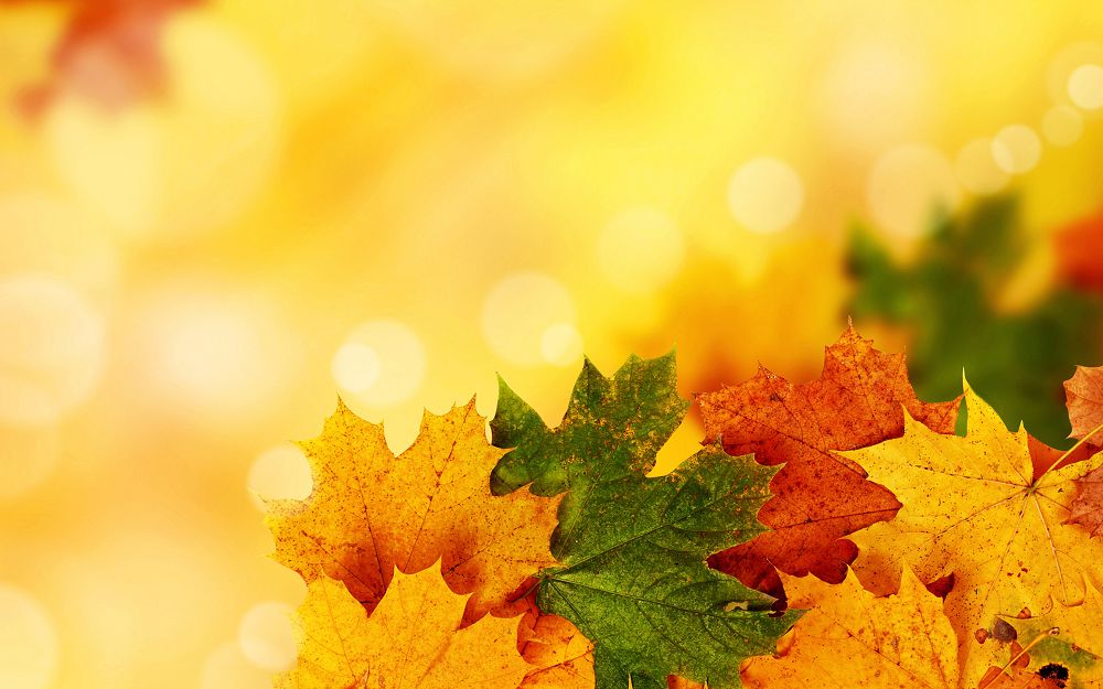 Senbige arnalǵan aýa-raıy boljamy