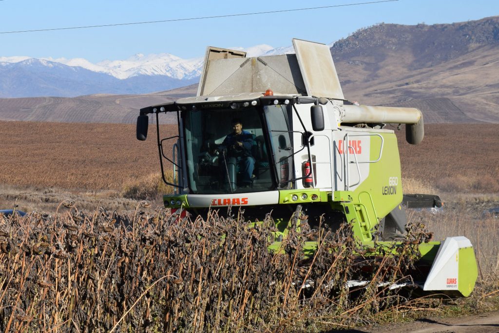 ShQO-da maıly daqyldardy óńdeý zaýyty salynady