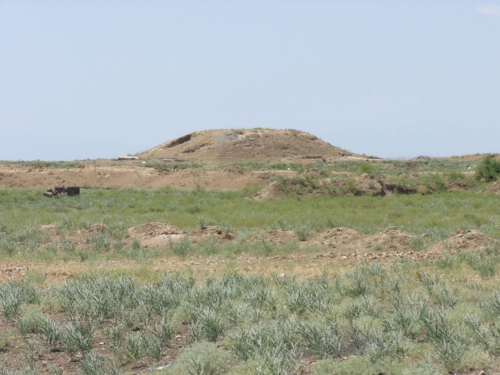 Táńirqazǵan, Bóriqazǵan týraly ne bilemiz?