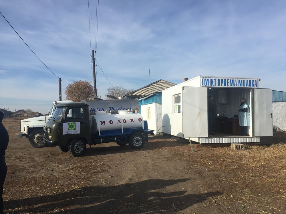 Zerendide kooperatıv zaýyttarǵa 500 tonna sút tapsyrdy