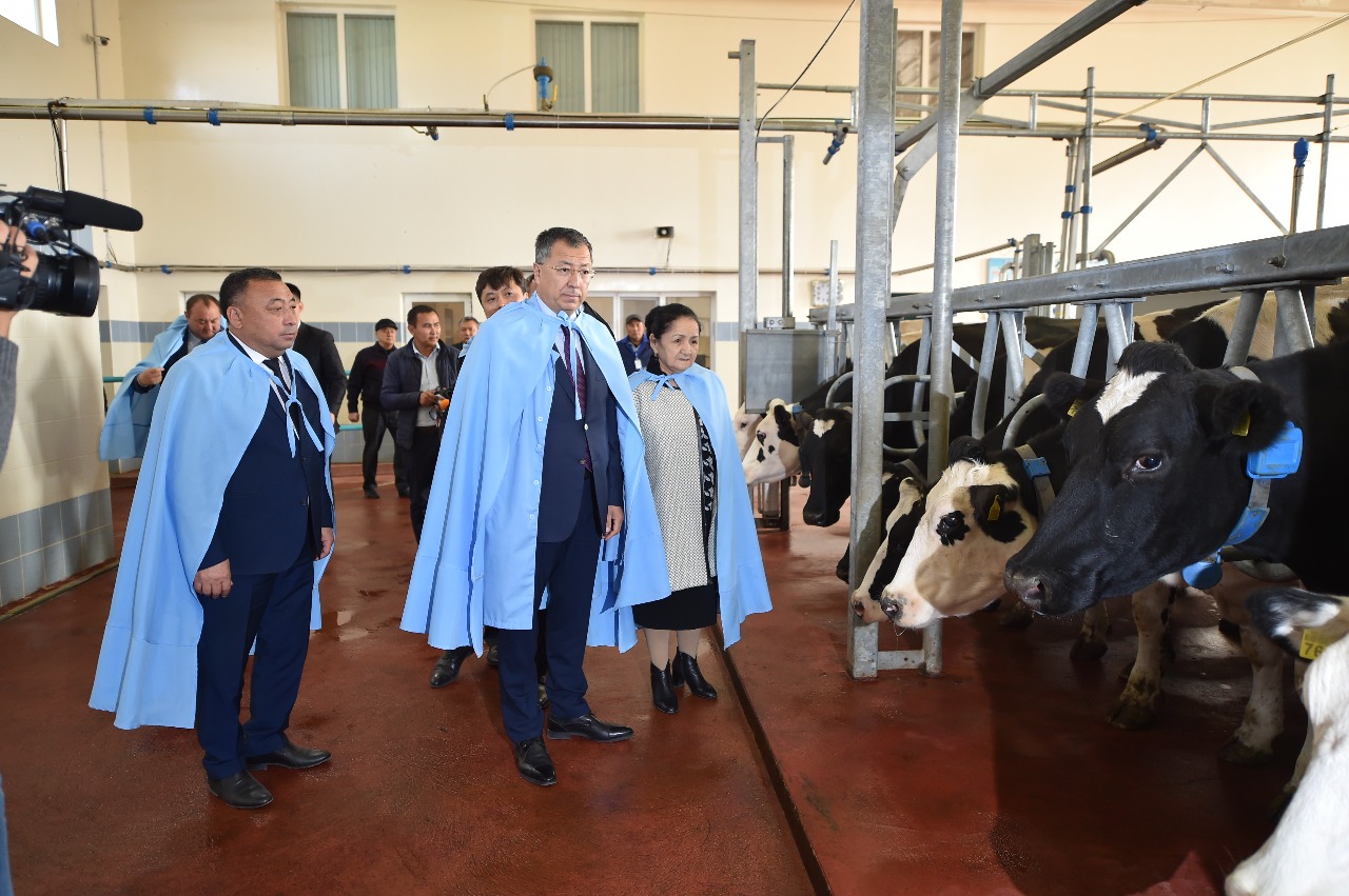 Saryaǵashtyq sharýalar qaıta óńdeý isin jandandyra bastady