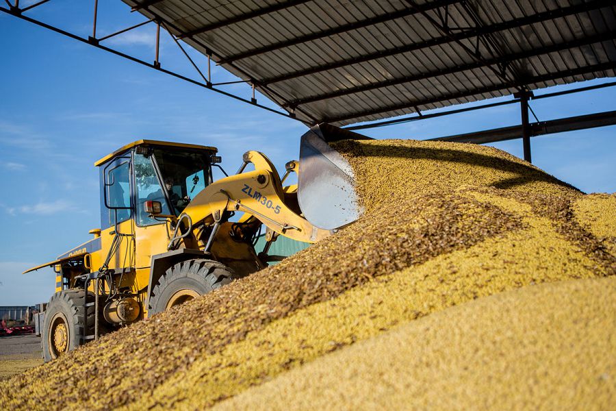 Sharýalar astyqtaryn elevatorlarǵa ótkize almaı jatyr