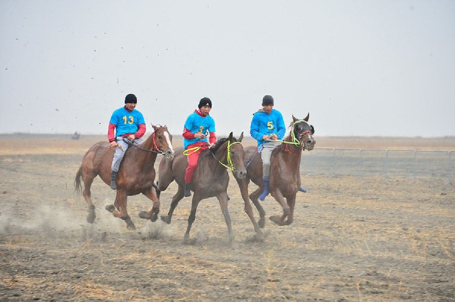 Atyraýda ótken jappaı kókpar týrnırine 200-den astam júırik at qatysty