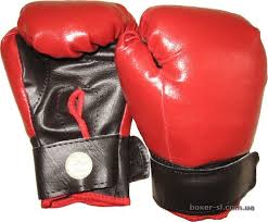 Astanada Qazaqstan boks kúni atalyp ótiledi