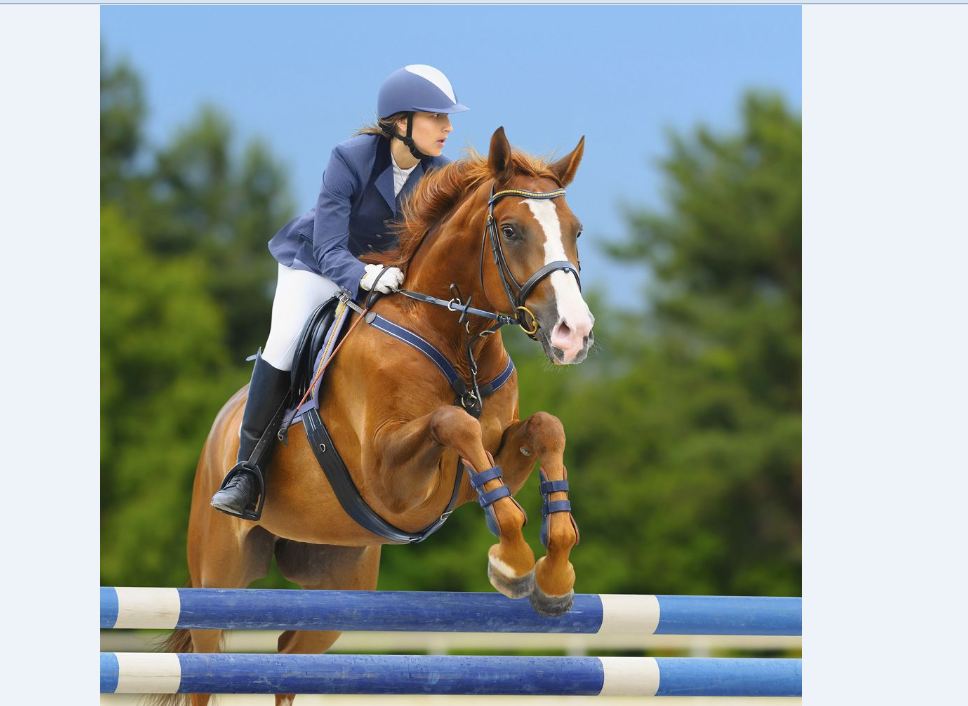 Nemis tulpary temirden jaratylǵan ba?