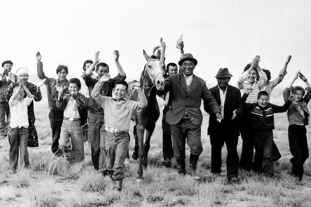 Qoıshynyń báıgeden kelgen aty