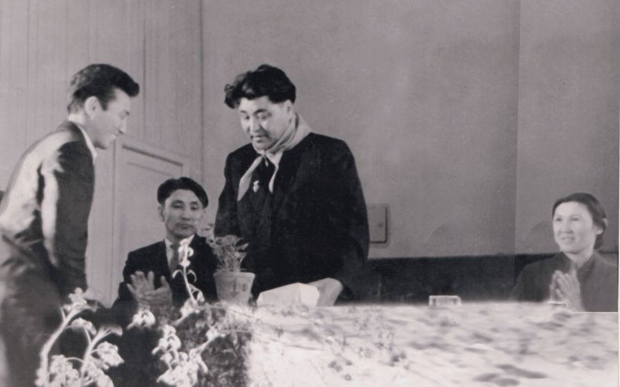 Dańqty partızanmen kezdesý