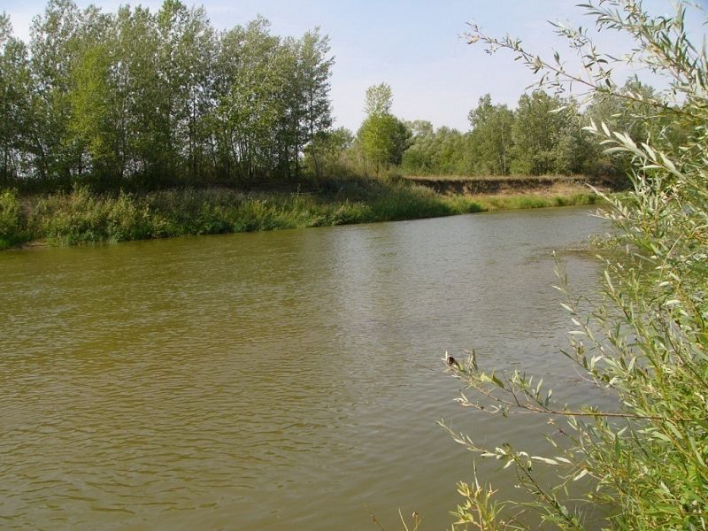 Elektiń aǵysy nege baıaý?