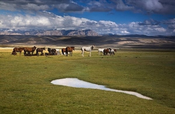 Shaǵyn aýyldardaǵy shattyq