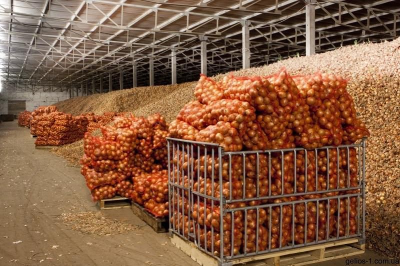 OQO-da áleýmettik bazarlar ashylmaq