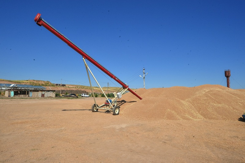 OQO dıqandary 600 myń tonnaǵa jýyq dándi daqyl jınady