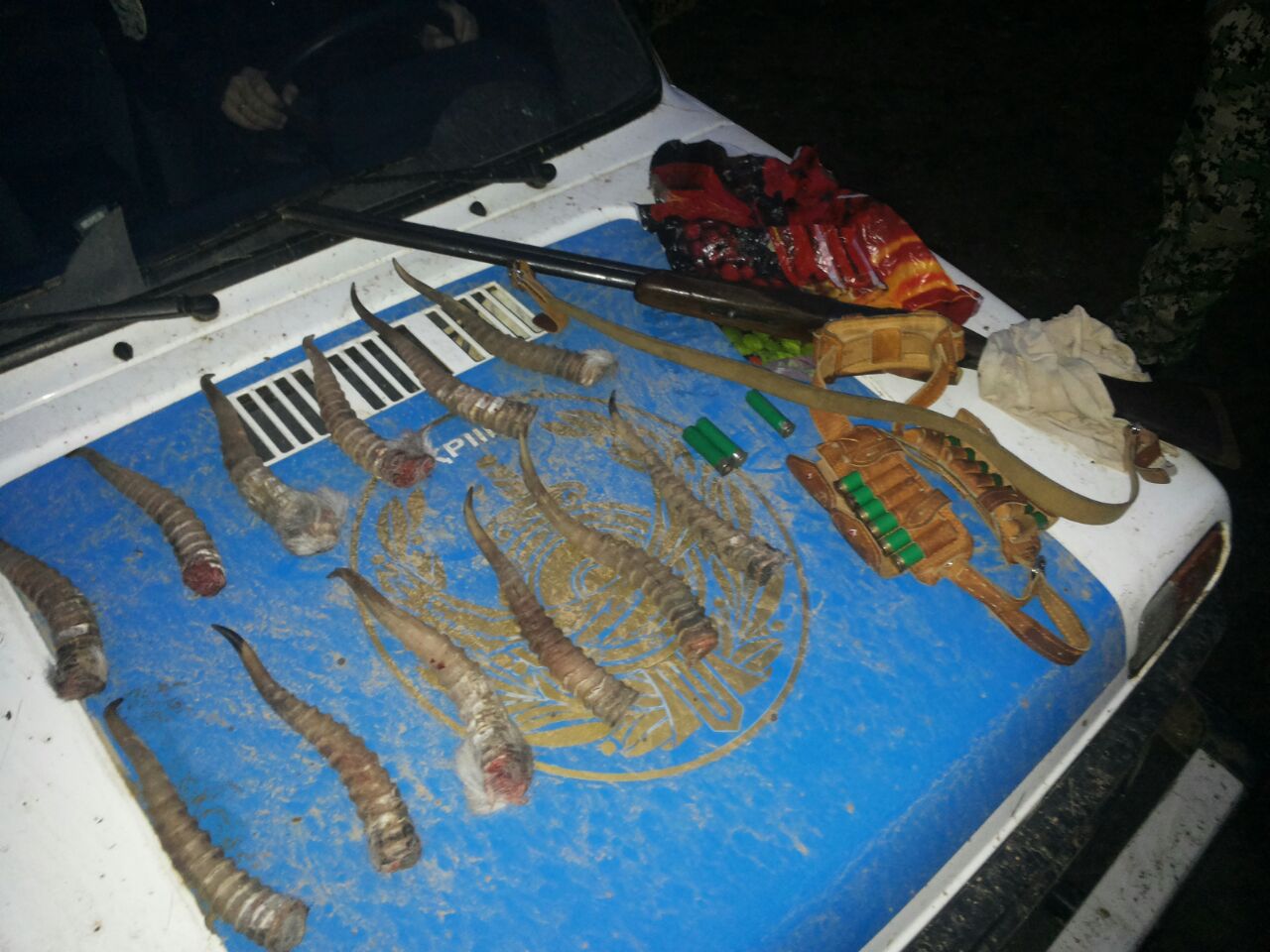 BQO-da aqbóken aýlaýshylar kóbeıdi